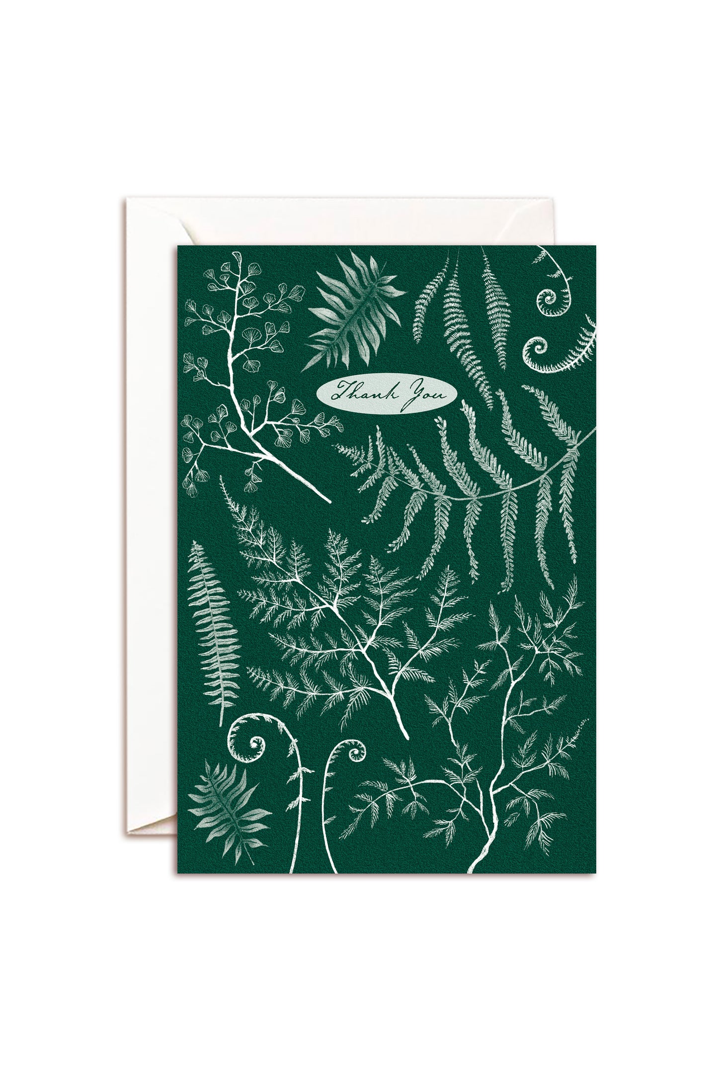 Ferns - Thank You - Card