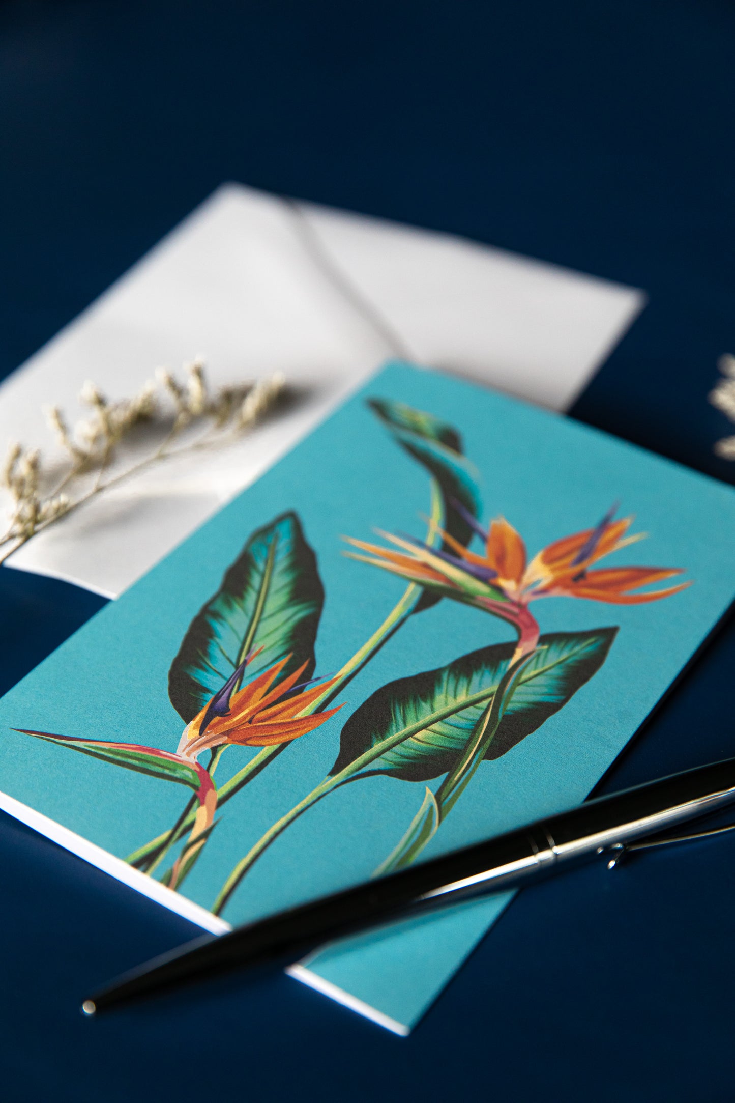 Bird of Paradise - Everyday Card